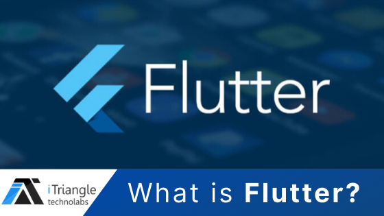 Read more about the article What is Flutter?