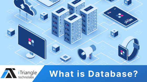 Read more about the article What is Database?