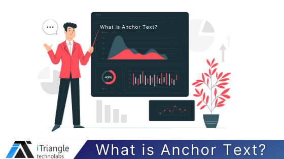 What is Anchor Text and how important is it for SEO?